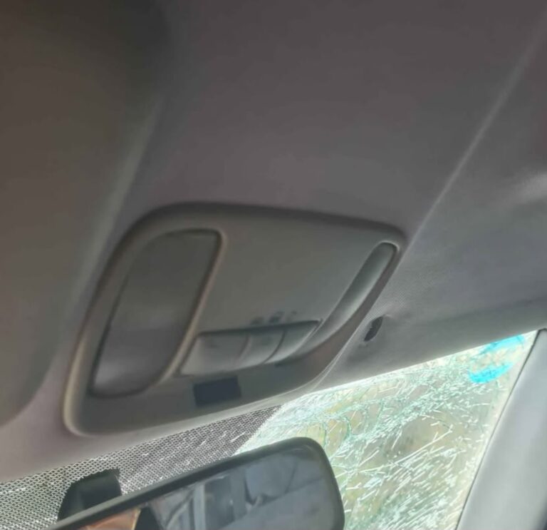 Volvo S40 Tavan Lambası çıkma parça