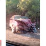 Renault Megane Cam Kaldırma Motoru çıkma parça - ANKA OTO YEDEK PARÇA İzmir