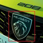 Peugeot 208 Amblem çıkma parça - CAN SANAYİ YEDEK PARÇA İstanbul