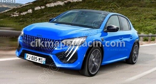 Peugeot 208 Ön Panjur / Izgara çıkma parça