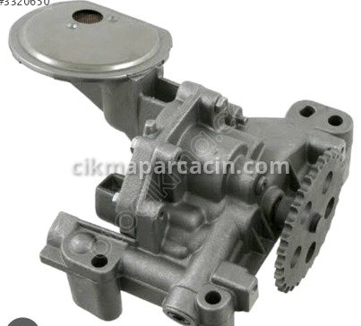 Peugeot 306 Cam Motoru çıkma parça
