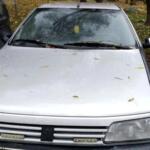 Peugeot ECU (Motor Beyni) çıkma parça - CAN SANAYİ YEDEK PARÇA İstanbul