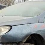 Peugeot 407 Stop Lambası çıkma parça - CAN SANAYİ YEDEK PARÇA İstanbul