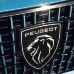 Peugeot Ön Fren Diski çıkma parça - CAN SANAYİ YEDEK PARÇA İstanbul