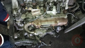 Toyota Auris Corolla egr soğutucusu