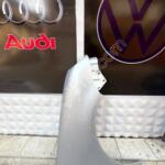 Peugeot 208 Sağ Ön Çamurluk çıkma parça - Bulut Otomotiv Orjinal Çıkma ve Yedek Parça İzmir