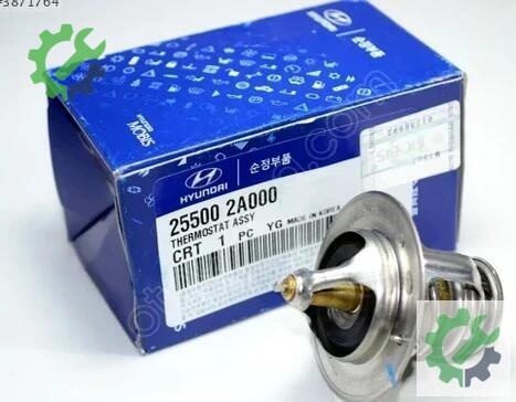 Hyundai Accent Termostat çıkma parça