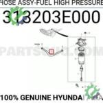 31320-3E000 SORENTO MAZOT OTOMATIGI YÜKSEK BASINÇ HORTUMU 03-06