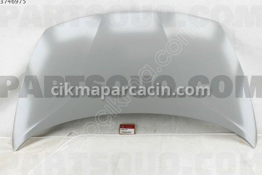 Kia Rio Kaput çıkma parça