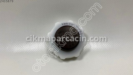 Renault Captur Yedek Su Deposu çıkma parça