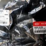 86695-2G700 TAMPON ARKA ALT PARÇA OPTİMA