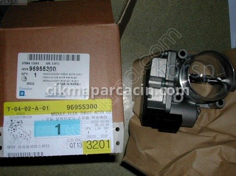 Gaz Captiva Gaz Kelebeği çıkma parça
