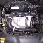 Citroen C-Elysee çıkma parça - DR CAR OTO ÇIKMA PARÇA Adana