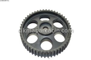 Eksantirik Dişlisi (Büyük) 1.9 Doblo-Strada | OEM CAREX-7151
