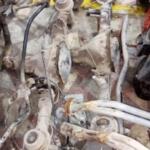 Toyota Avensis Arka Defransiyel çıkma parça - KOÇAL OTOMOTİV Trabzon