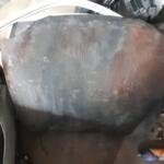 Toyota Corolla Kaput çıkma parça - Bulut Otomotiv Orjinal Çıkma ve Yedek Parça İzmir