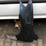 Volkswagen Golf Sol Ön Çamurluk çıkma parça - Bulut Otomotiv Orjinal Çıkma ve Yedek Parça İzmir