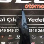 Volkswagen Passat Sol Ön Çamurluk çıkma parça - Bulut Otomotiv Orjinal Çıkma ve Yedek Parça İzmir