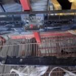 Volkswagen Passat Ön Panel çıkma parça - Bulut Otomotiv Orjinal Çıkma ve Yedek Parça İzmir