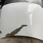 Volkswagen Tiguan Kaput çıkma parça - Bulut Otomotiv Orjinal Çıkma ve Yedek Parça İzmir