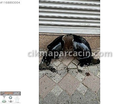 Mercedes-Benz CLA Davlumbaz çıkma parça