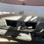 Fiat Tipo Bagaj Kapağı çıkma parça - T-F-M OTOMOTİV SAKARYA