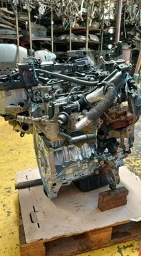 Ford Focus Komple Motor çıkma parça - ÇIKMACI 41 KOCAELİ