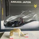 Honda Jazz Silecek Suyu Deposu çıkma parça - ANKARA JAPON ANKARA