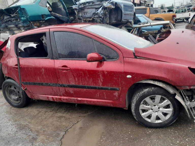 Peugeot 307 Baskı Balata çıkma parça