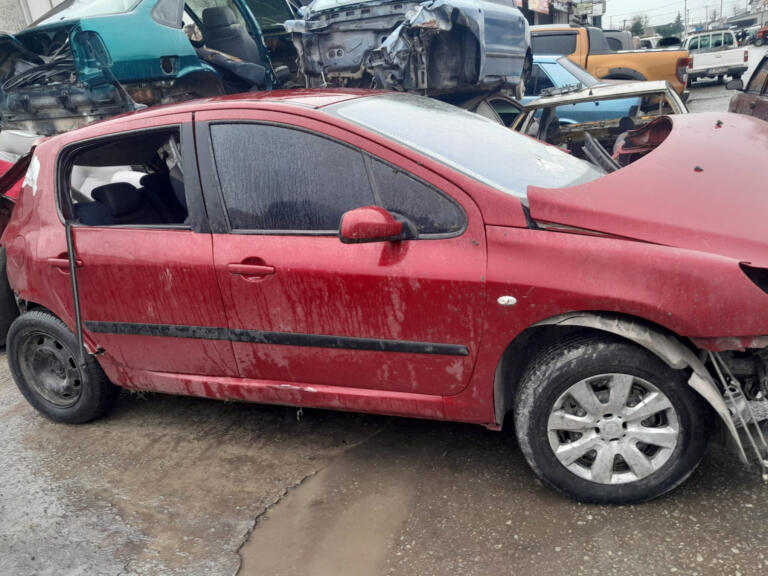 Peugeot 307 DPF çıkma parça