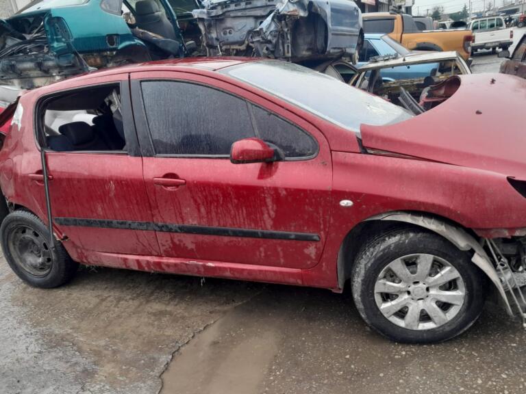 Peugeot 307 Gaz Kelebeği çıkma parça