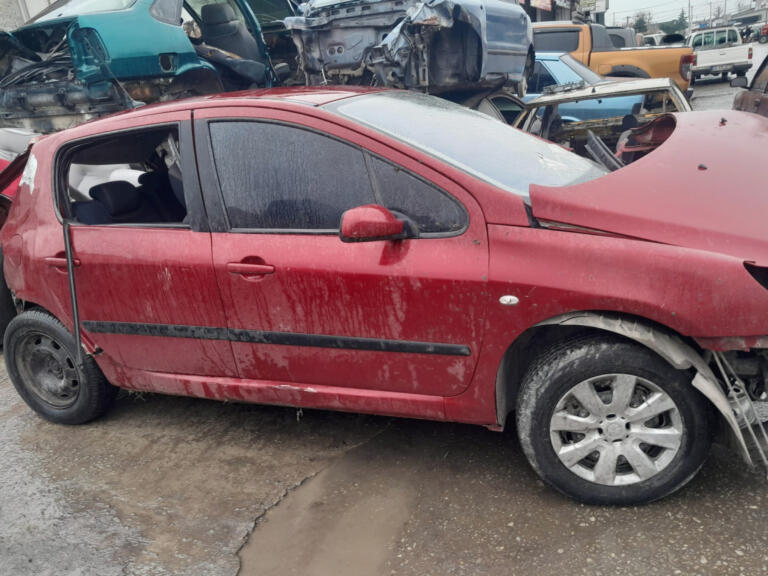 Peugeot 307 Kaput çıkma parça