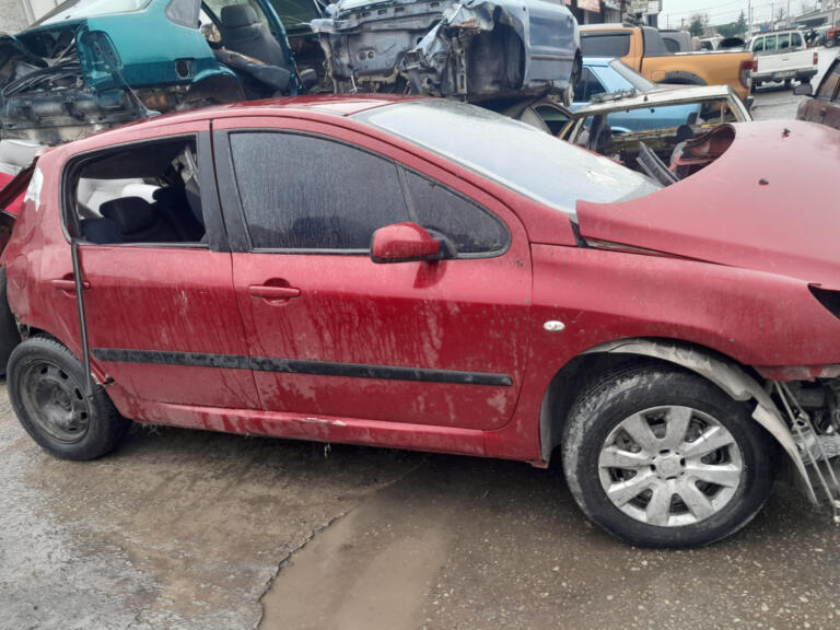 Peugeot 307 Ön Fren Diski çıkma parça