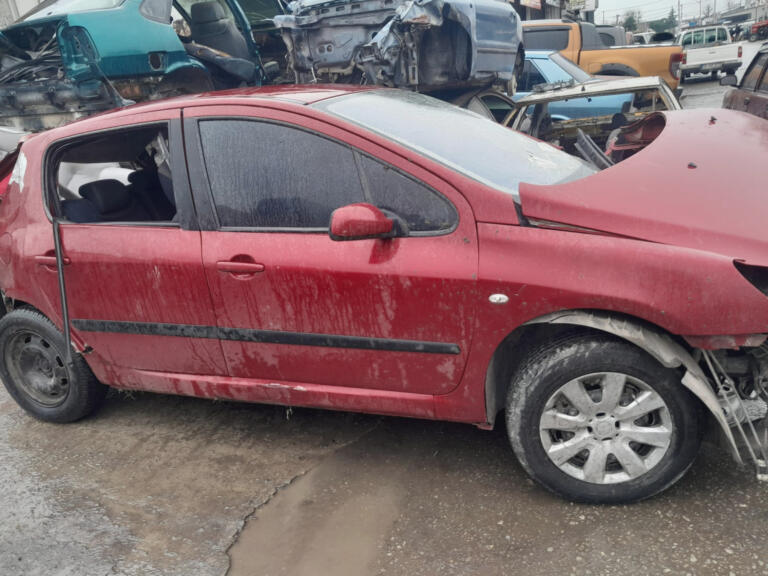 Peugeot 307 Yağ Pompası çıkma parça