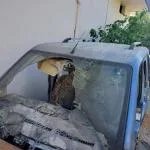 Ford Tourneo Connect Tavan Çıtası çıkma parça - İNAN OTO ÇIKMA YEDEK PARÇA ALIM SATIM Adana