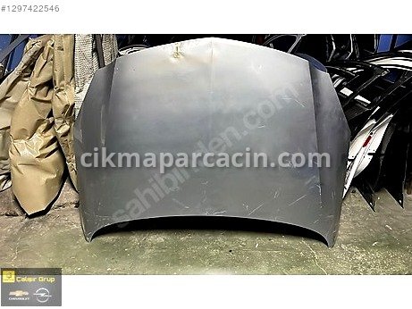 Opel Insignia Kaput çıkma parça