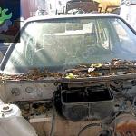 Skoda Favorit Felicia pikap ön cam