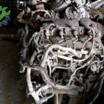 ÇIKMA FORD TRANSİT 2020 KOMPLE MOTOR