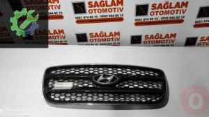 HYUNDAİ SANTA-FE ÇIKMA ÖN PANJUR OEM; E86561-2B010