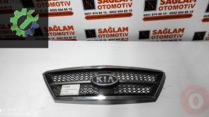 KİA SORENTO 04-06 ÇIKMA ÖN PANJUR OEM; 86350-3E010