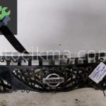 OEM; 2495101 NİSSAN TERRANO 2005 PANJUR OEM; 2495101