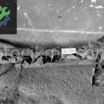 OEM; 8200290143 RENAULT CLİO 3 ÖN PANEL