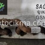 OEM;A6281420101 MERCEDES ML W163 EGSOZ MANİFOLD