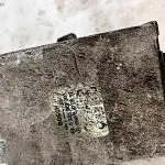 0008200297 0285001003 MB W201 W124 W126 Emniyet Kemeri Modülü