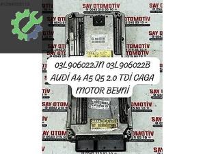 03L906022JN 03L906022B AUDİ A4 A5 Q5 2.0 TDİ CAGA MOTOR BEYNİ