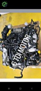 Audi A3 8P 1.6 TDI Motor (2009/2013)