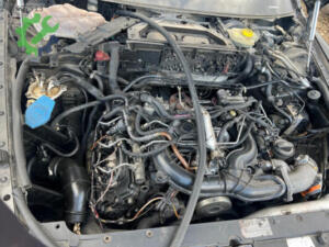 Volkswagen Phaeton 1999 Çıkma Motor Beyni