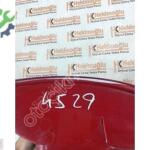 2005-2008 Skoda Octavia Sağ Stop Parçası – 1Z5945112A
