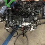 Ford Focus Komple Motor Çıkma