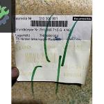 7H1868715G CARAVELLA MULTİVAN T6 ARKA SOL DÖŞEME PERDE KISA SASE